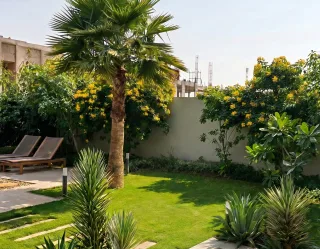 نخلة مروحية وشجيرات مزهرة بالأصفر فوق مسطح أخضر بحديقة فيلا