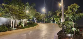 ممر سيارات منحني مضاء تحيط به الأشجار والنخيل والأحواض الزراعية ليلاً
