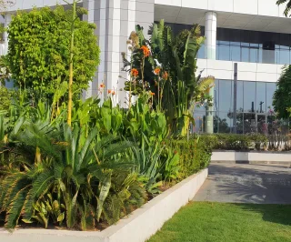 حوض زراعة أبيض بنباتات استوائية مرتفعة أمام واجهة زجاجية لمبنى مكاتب